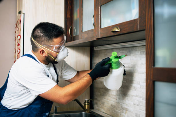 Best Pest Removal Services  in Holmen, WI