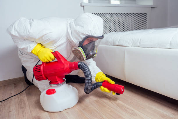 Trusted Holmen, WI Pest Control Experts