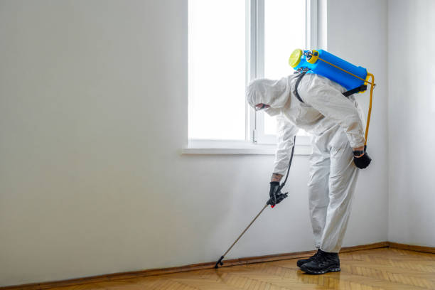 Best Insect Control  in Holmen, WI