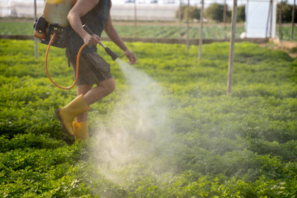 Best Commercial Pest Control Services  in Holmen, WI