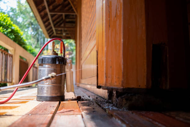 Pest Control for Restaurants in Holmen, WI