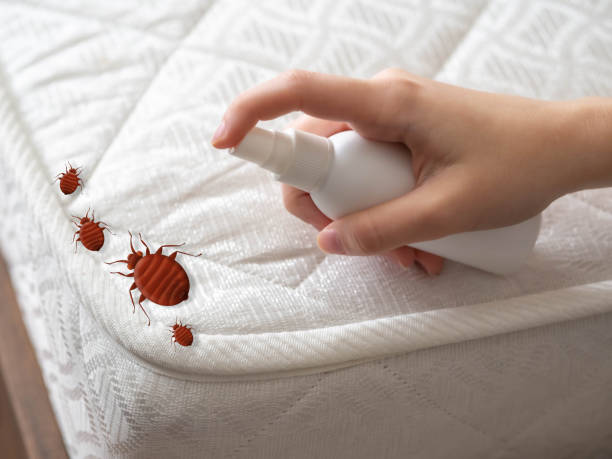 Professional Pest Control in Holmen, WI