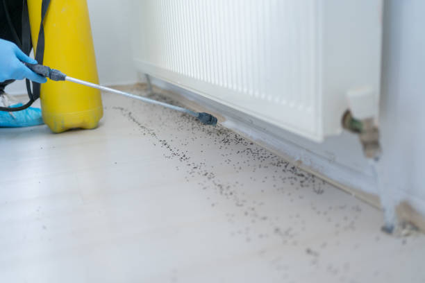 Best Wildlife Control Services  in Holmen, WI
